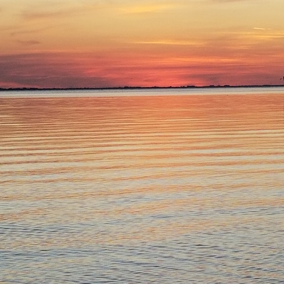 Meet your Posher, Aloha Brunch - Picture 8 of 8